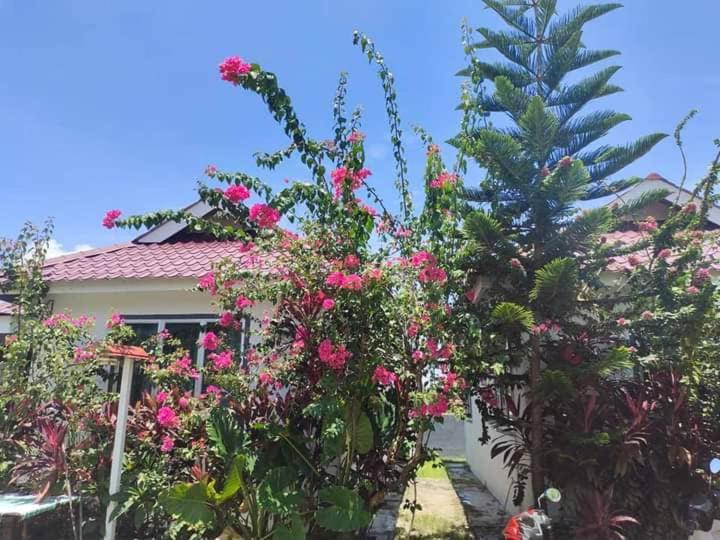 Langkawi Homestay Bunga Padi Куах Экстерьер фото